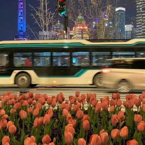 刘巨得儿媳贵莲建华最新消息
